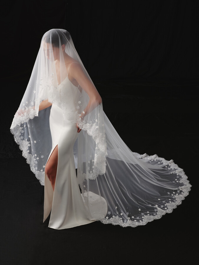 NV2614 in Veils 2026