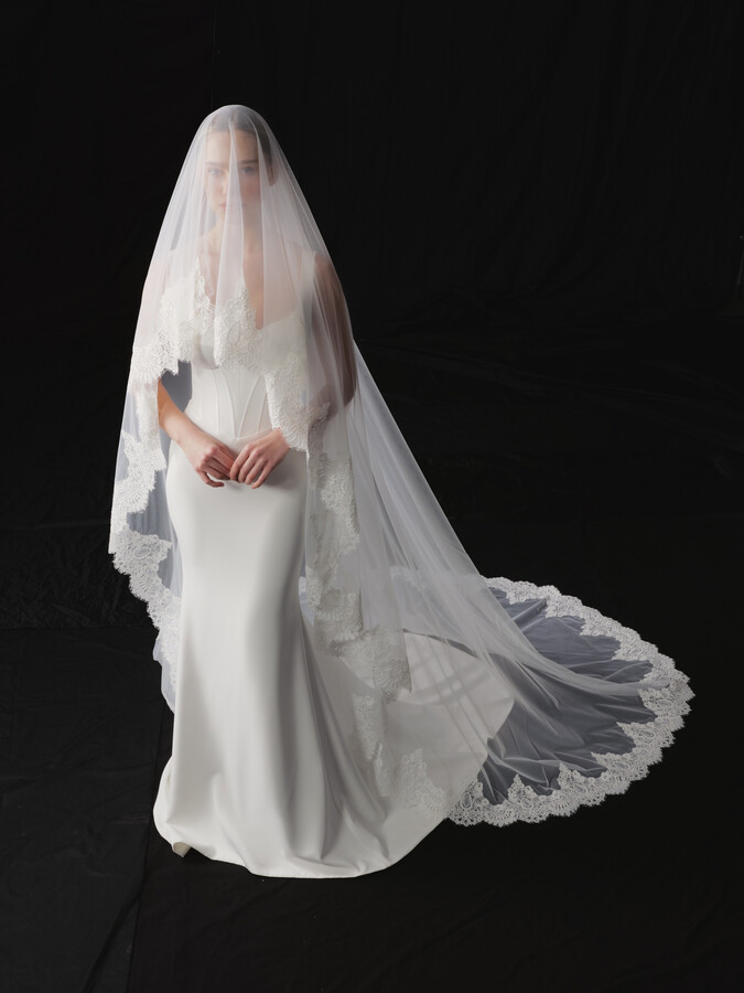 NV2601 in Veils 2026