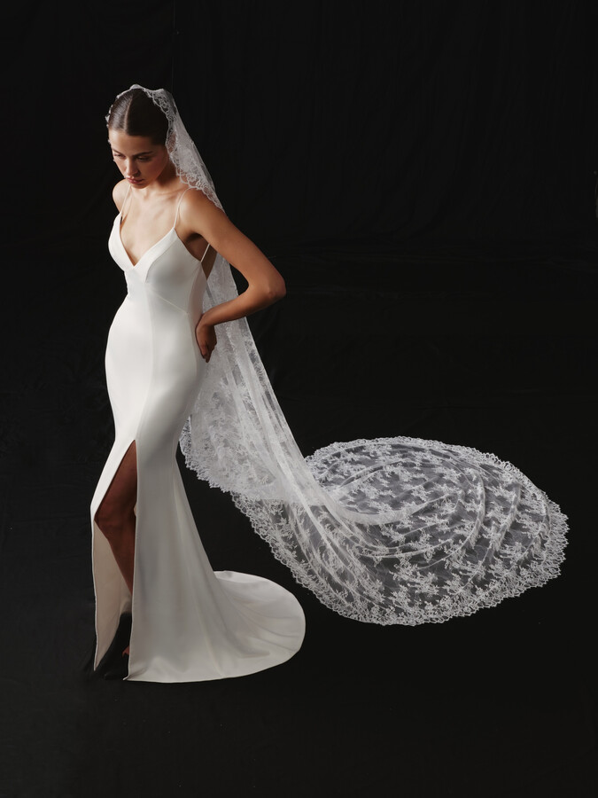 NV2611 in Veils 2026