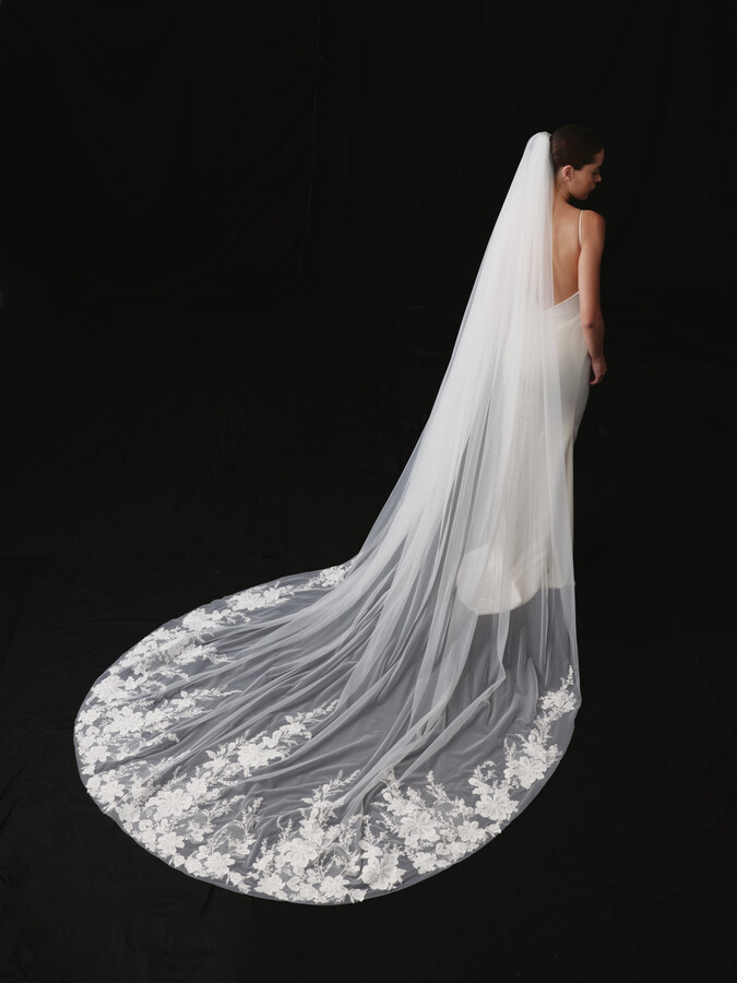 NV2612 in Veils 2026