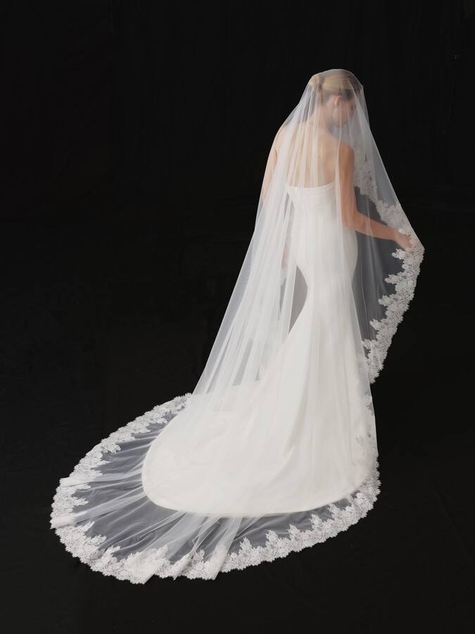NV2602 in Veils 2026