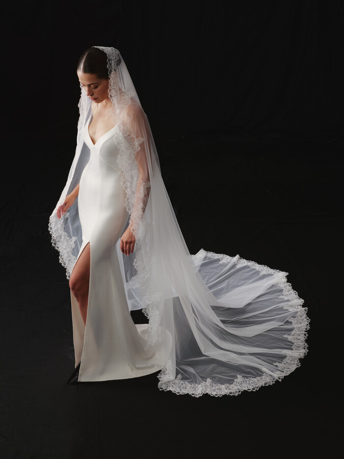 NV2606 in Veils 2026