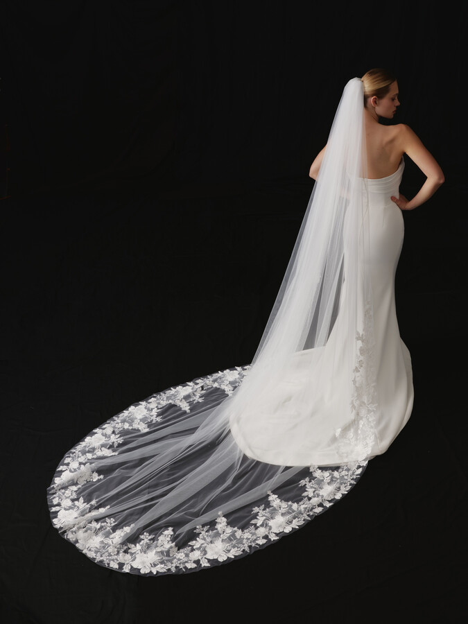 NV2609 in Veils 2026