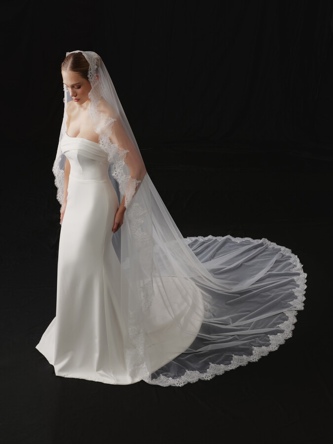 NV2604 in Veils 2026