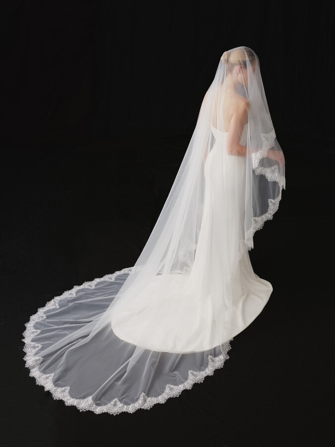 NV2603 in Veils 2026