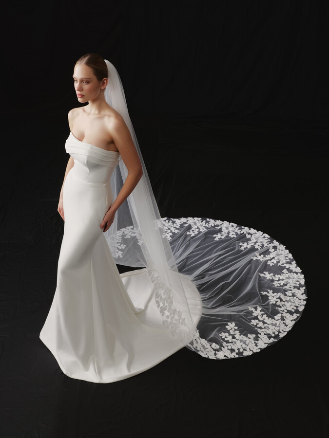 NV2608 in Veils 2026