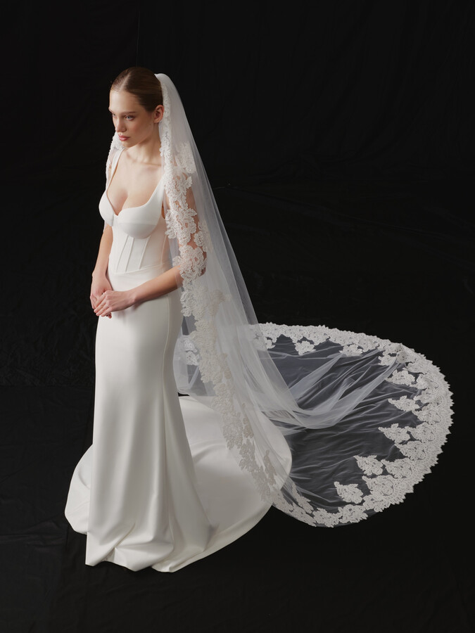 NV2613 in Veils 2026