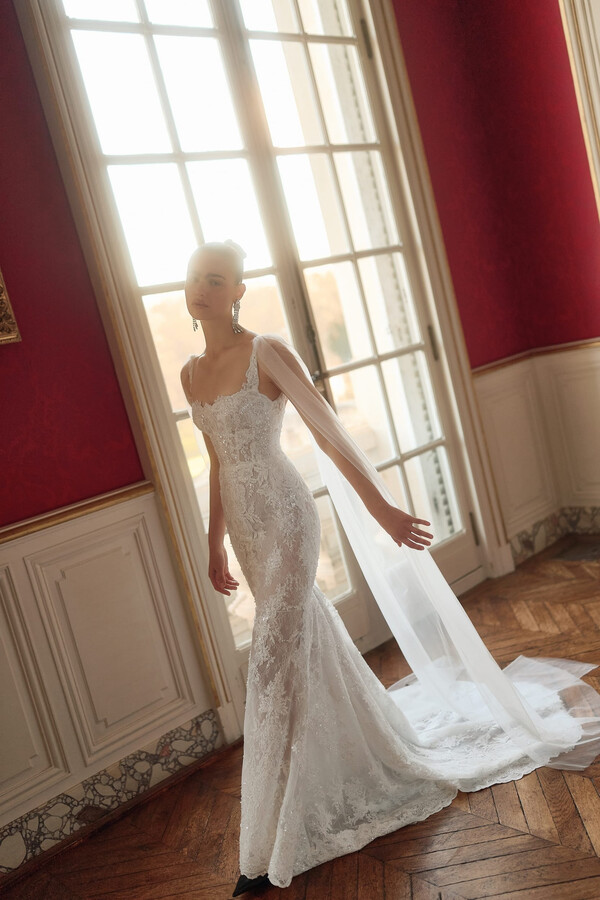 Orlando in Maison Blanche